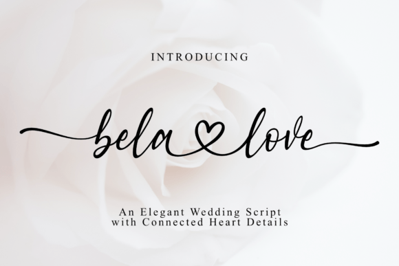 Bela Love: A Heartfelt Script for Modern Romantic Design
