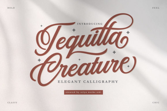 Tequilla Creature: A Script Font for Modern Branding